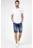 T M6127.35 (903-1-coll) шорты муж (Y) (7) T M6127.35 (903-1-coll) шорты муж (Y) (7)