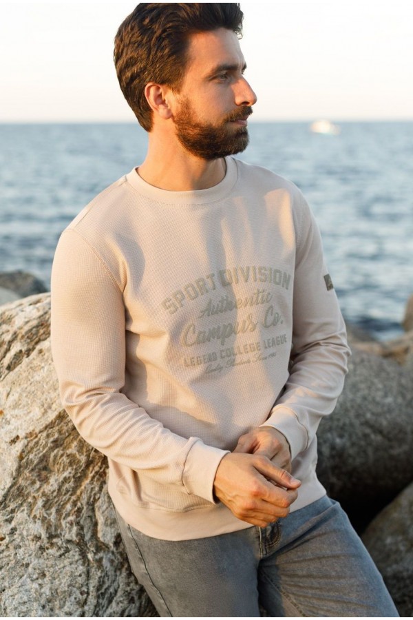 V M49027.12 Свитшот муж бежевый