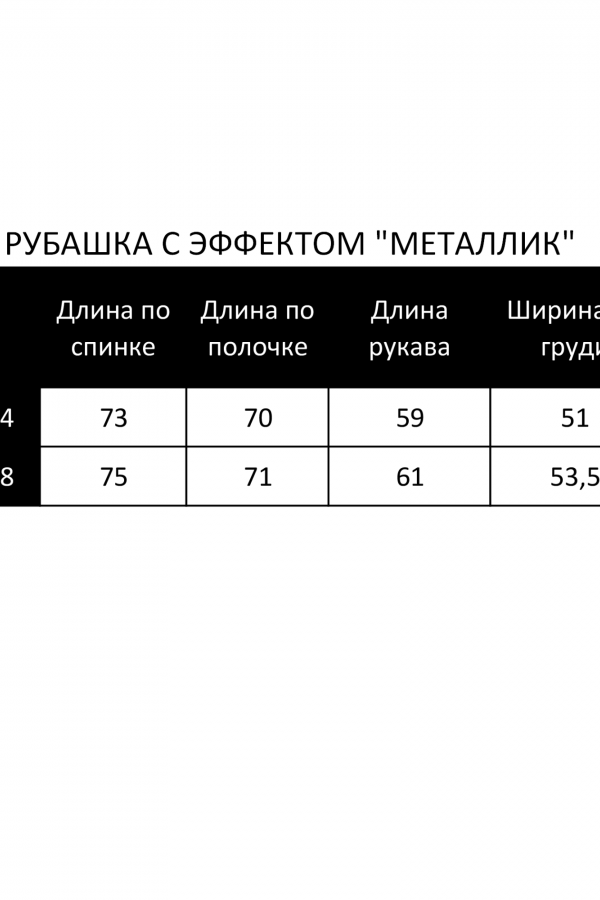 TF 001.96 Рубашка металлик